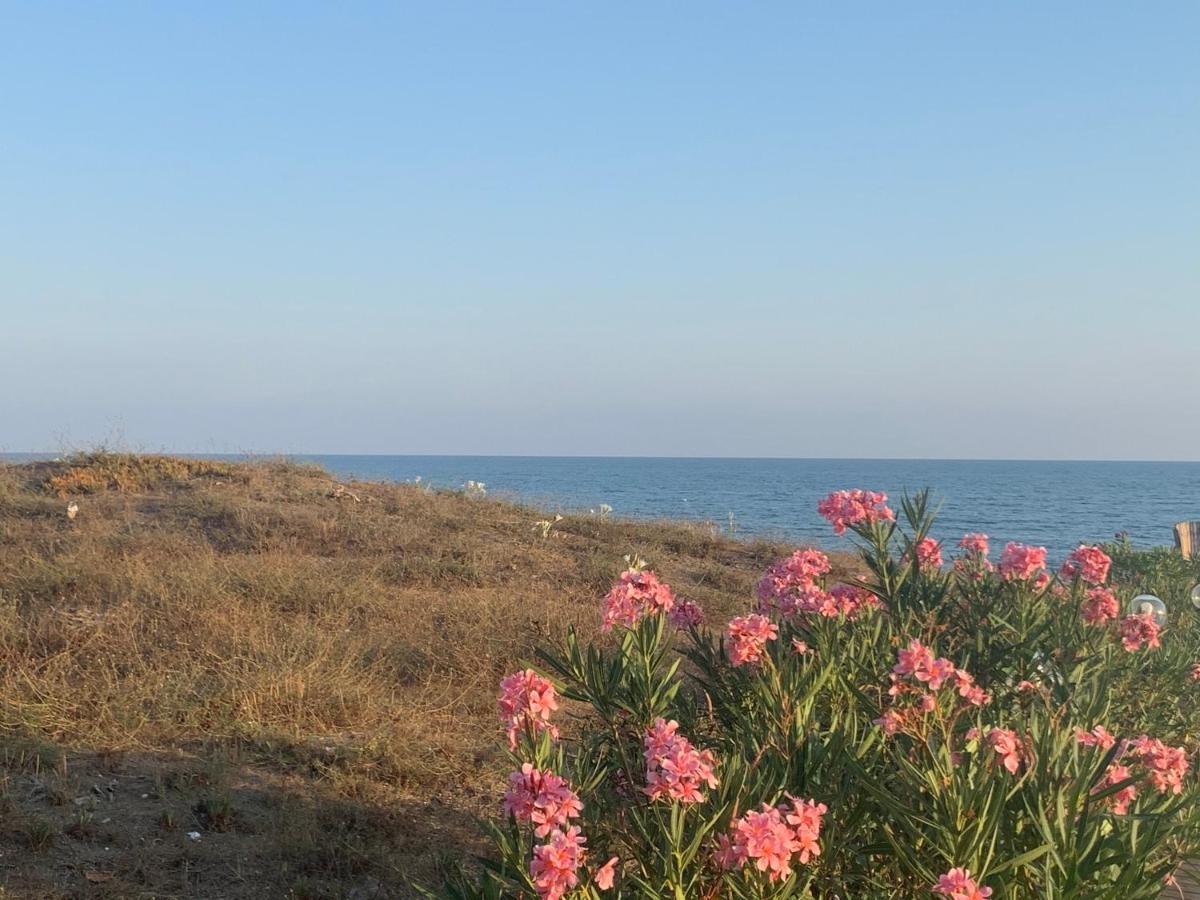 Hs Easy Holiday Home Latina Dış mekan fotoğraf